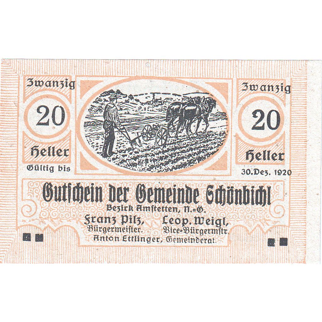 Austria, Schonbichl, 20 Heller, champs, 1920, 1920-12-30, UNC(63), Mehl:FS 969Ib