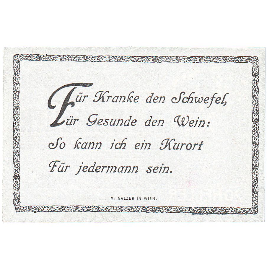 Austria, Baden, 20 Heller, Forêt, 1920, 1920-12-31, UNC(63), Mehl:FS 74a