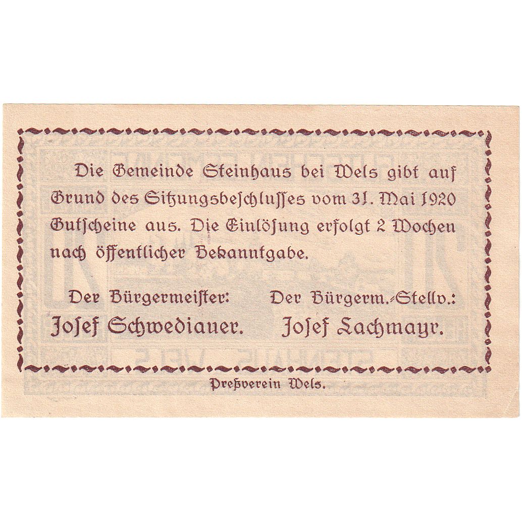 Autriche, Steinhaus, 20 Heller, village, 1920, SPL, Mehl:FS 1030Ia