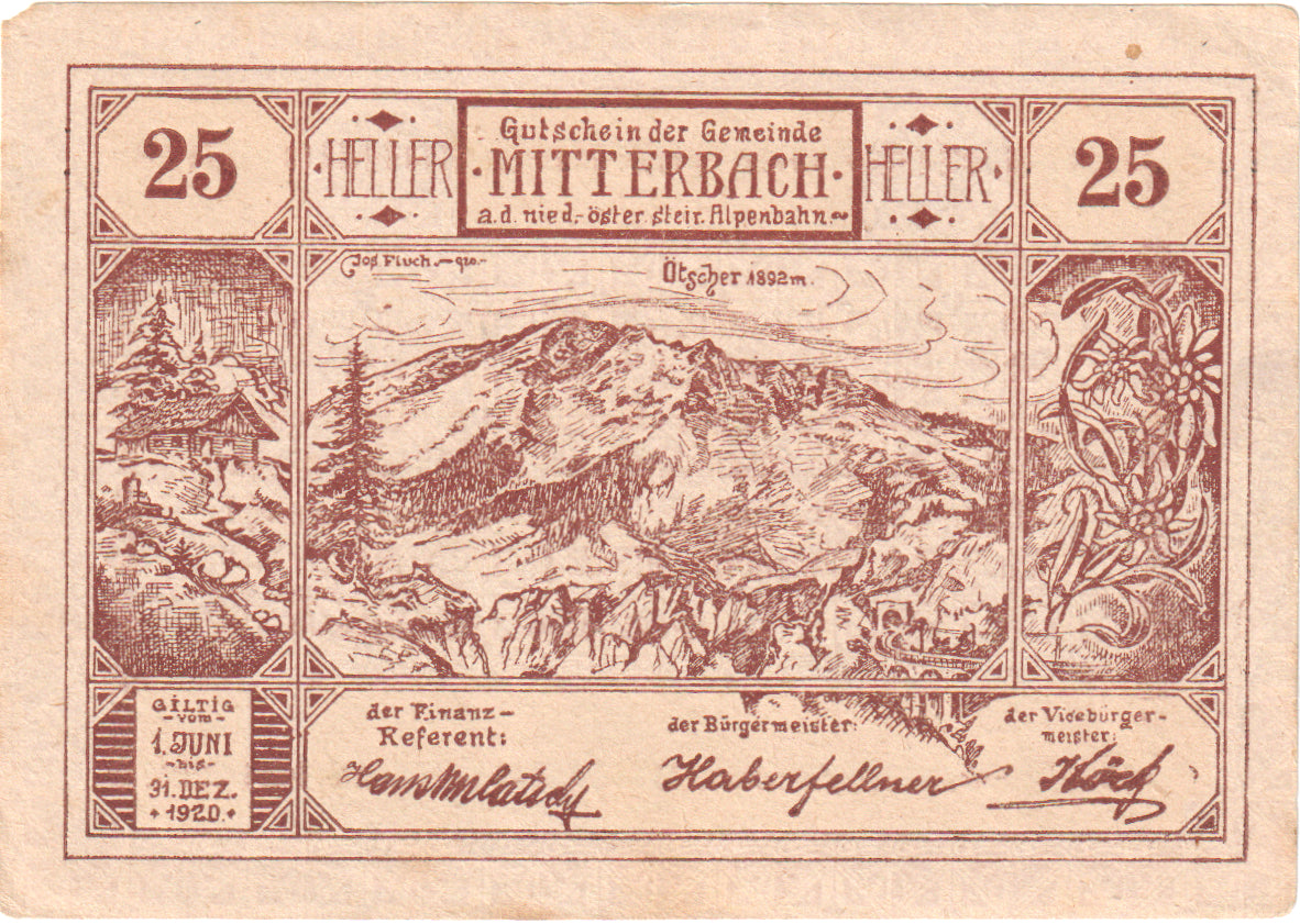 Austria, Mitterbach, 25 Heller, montagne, 1920, 1920-12-31, EBC, Mehl:FS 618b