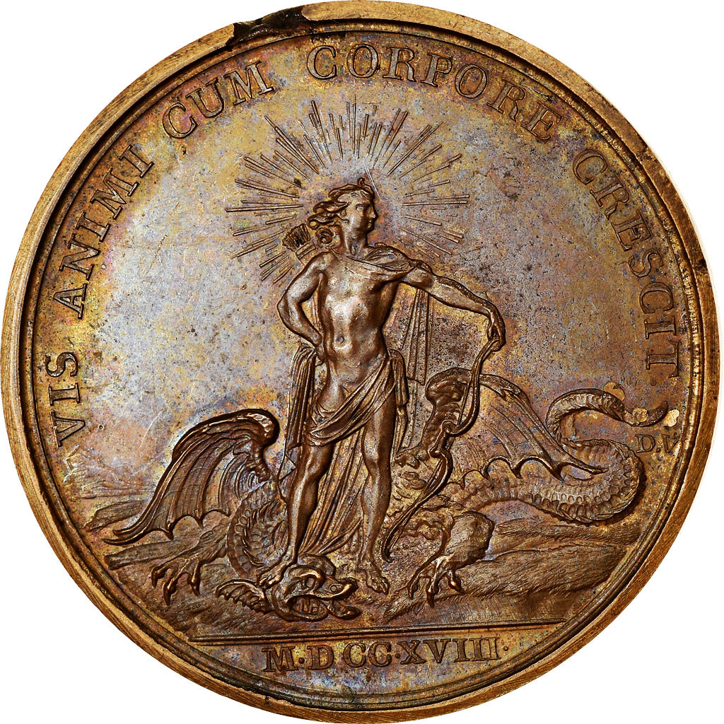 France, Medal, Louis XV, Les Progrès du Roi, History, 1718, Duvivier, Restrike