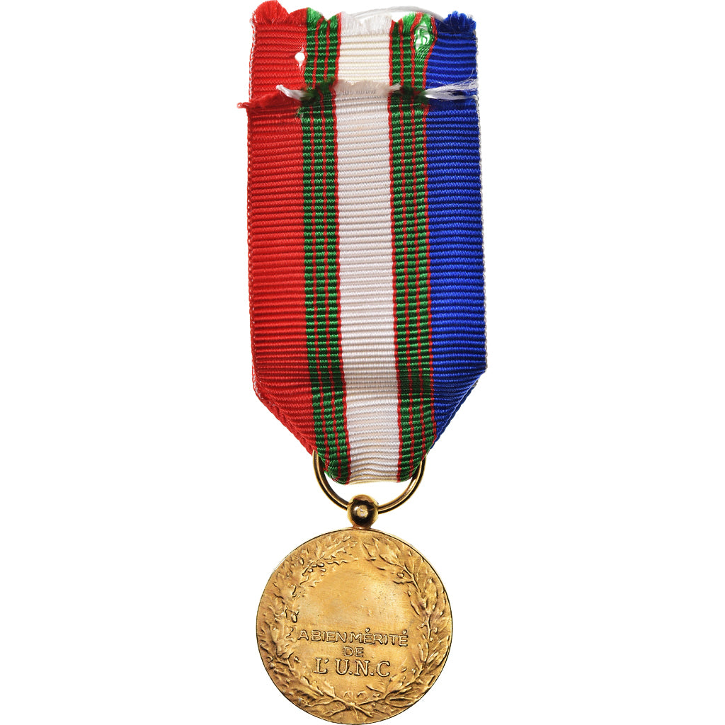 Francia, Union Nationale des Combattants, WAR, medaglia, Fuori circolazione