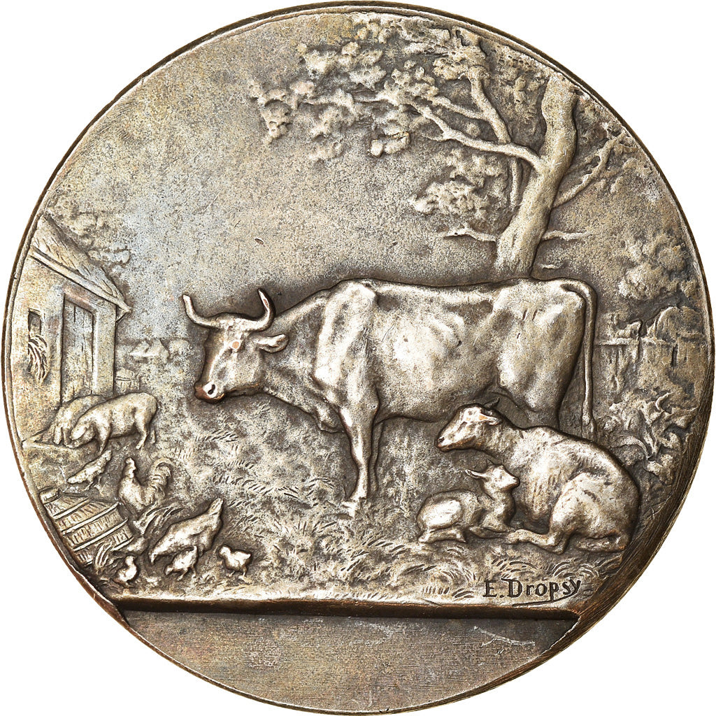 France, Medal, Institut Agricole de Beauvais, Dropsy, AU(50-53), Silvered bronze
