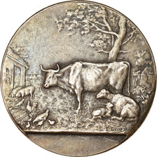 France, Medal, Institut Agricole de Beauvais, Dropsy, AU(50-53), Silvered bronze