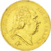 Louis XVIII, 40 Francs or 1818 Lille, KM 713.6