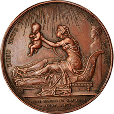 France, Médaille, Naissance du Comte de Chambord, History, 1820, Gayrard, SUP