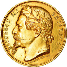 France, Medal, Napoléon III, Société Industrielle et Agricole de l'Aube
