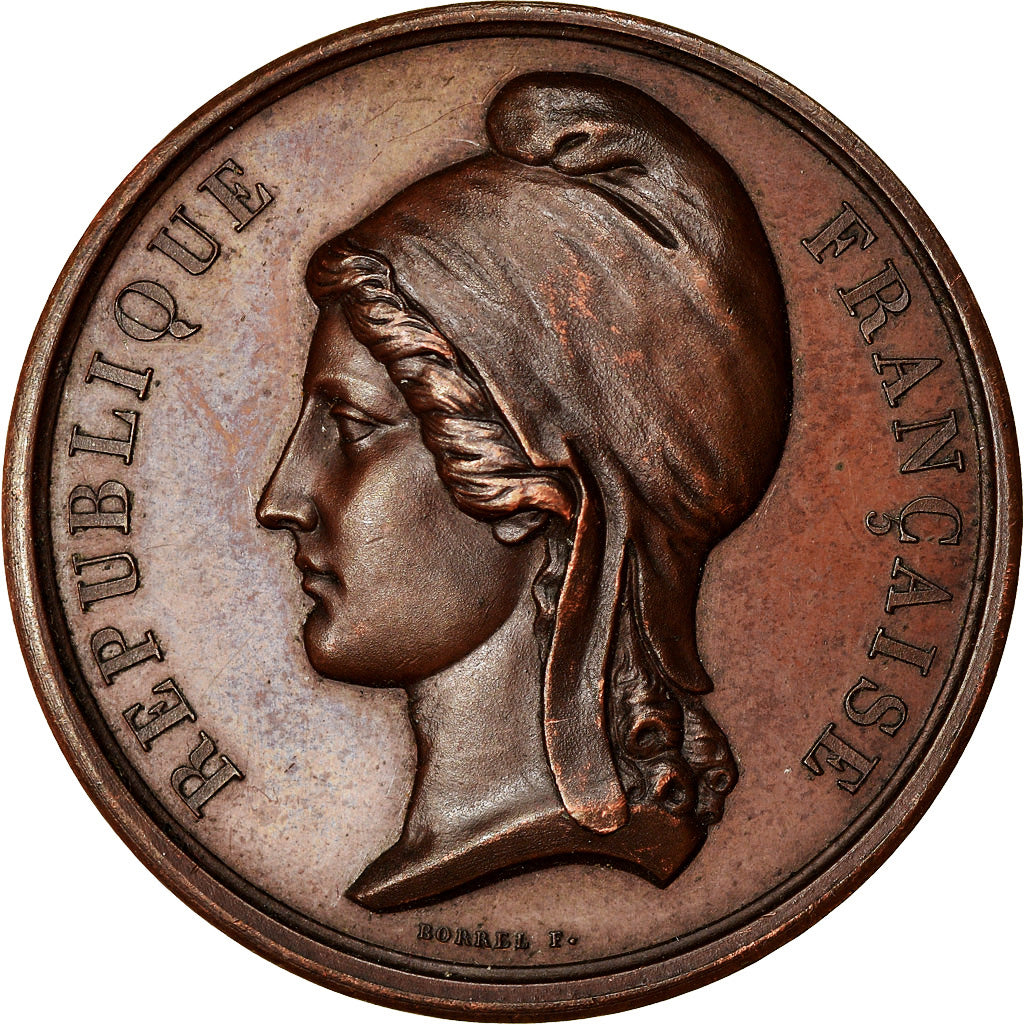 France, Medal, Guerre Franco-allemande, Hommage à la Ville de Chateaudun
