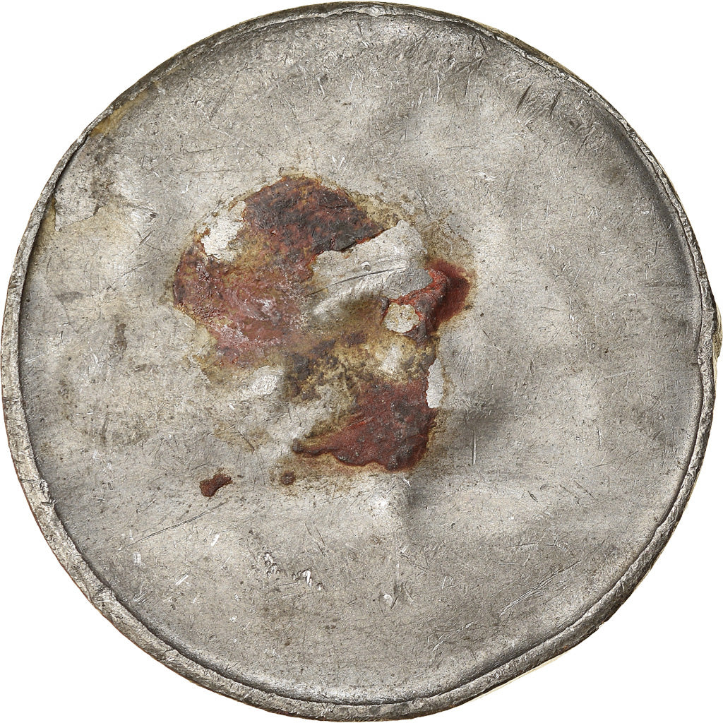 France, Medal, Napoléon Bonaparte, Passage du Grand Saint-Bernard, Cliché