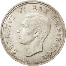Moneda, Sudáfrica, George VI, 5 Shillings, 1947, EBC+, Plata, KM:31