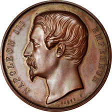 France, Medal, Napoléon III, Concours Régional d'Agriculture, Versailles