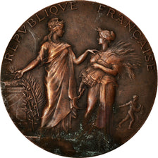 Frankreich, Medaille, Concours Général Agricole de Paris, Jury, Dubois.A, S