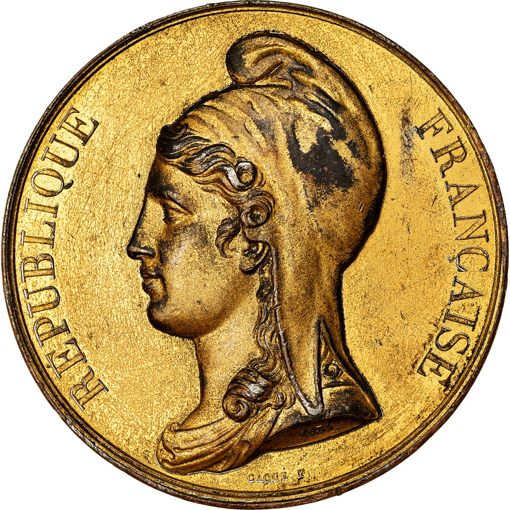 France, Médaille, Déchéance de Napoléon III, Proclamation de la République