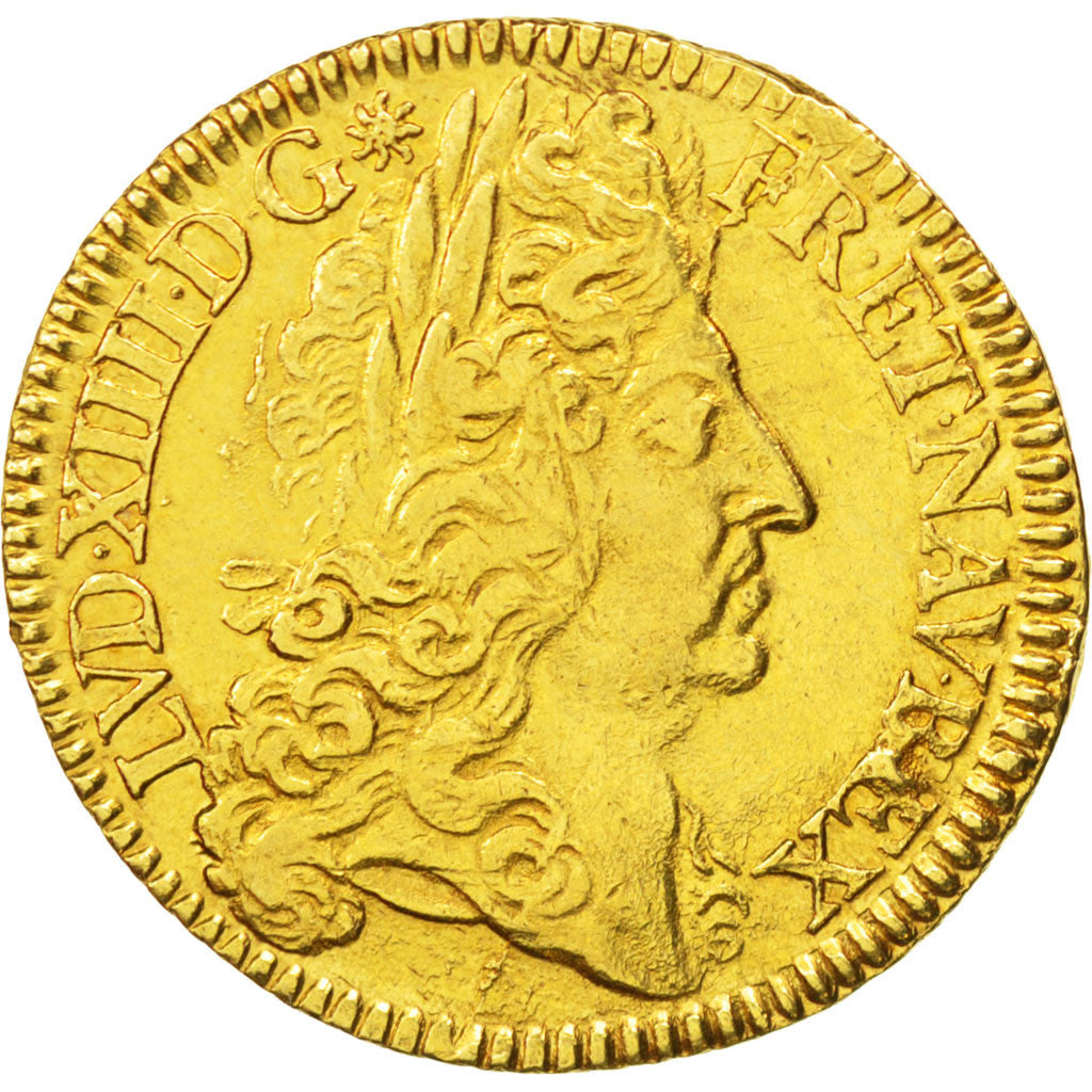 Francia, Louis XIV, Double louis d'or à l'écu, 2 Louis D'or, 1690, Paris, B...