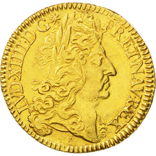 FRANCE, Double louis d'or à l'écu, 2 Louis D'or, 1690, Paris, KM #280.1, EF(40-4