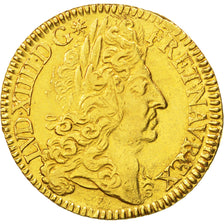 Francia, Louis XIV, Double louis d'or à l'écu, 2 Louis D'or, 1690, Paris, B...