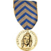 France, Reconnaissance de la Nation, Guerre, Medal, Excellent Quality, Gilt