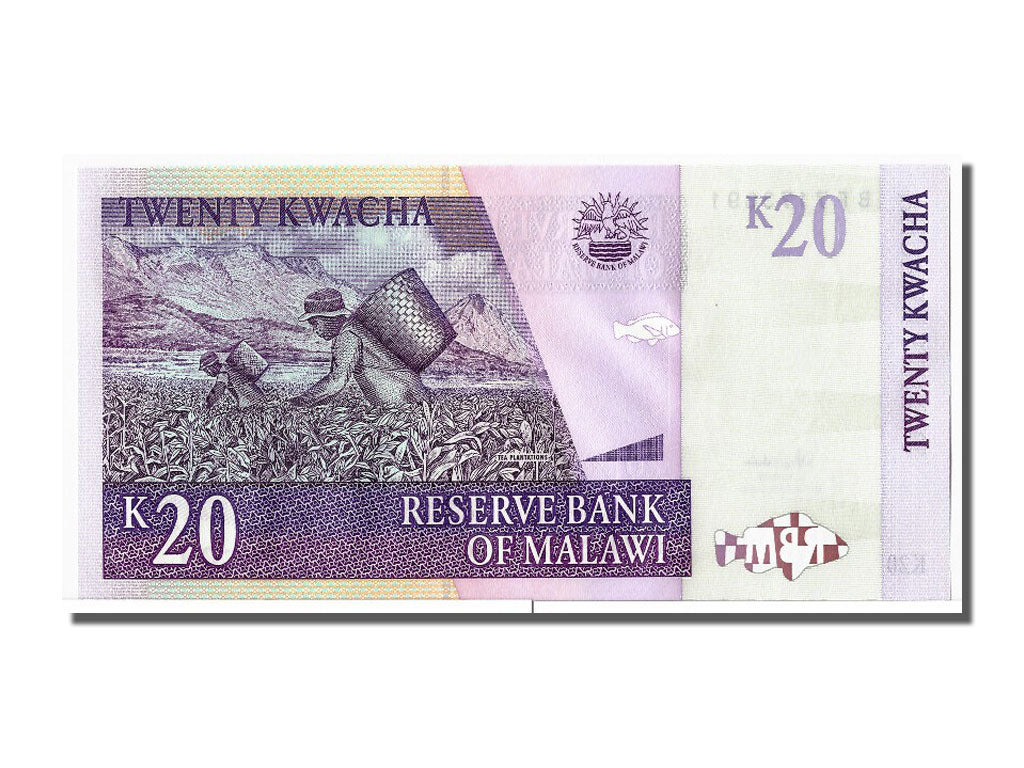 Banknote, Malawi, 20 Kwacha, 2007, 2007-10-31, UNC(65-70)