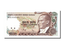 Banknote, Turkey, 5000 Lira, 1970, UNC(65-70)