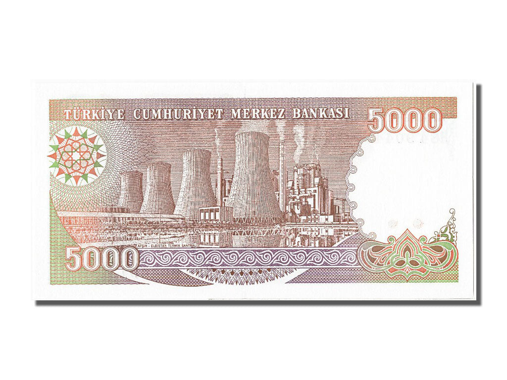 Banknote, Turkey, 5000 Lira, 1970, UNC(65-70)