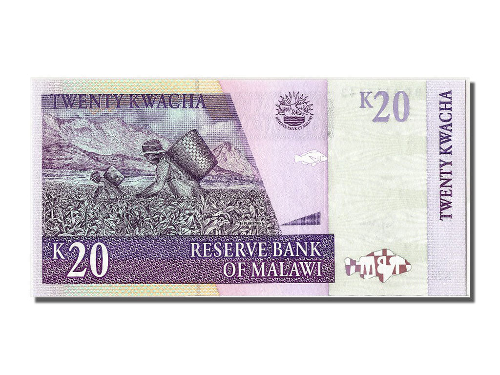 Banknote, Malawi, 20 Kwacha, 2007, 2007-10-31, UNC(65-70)