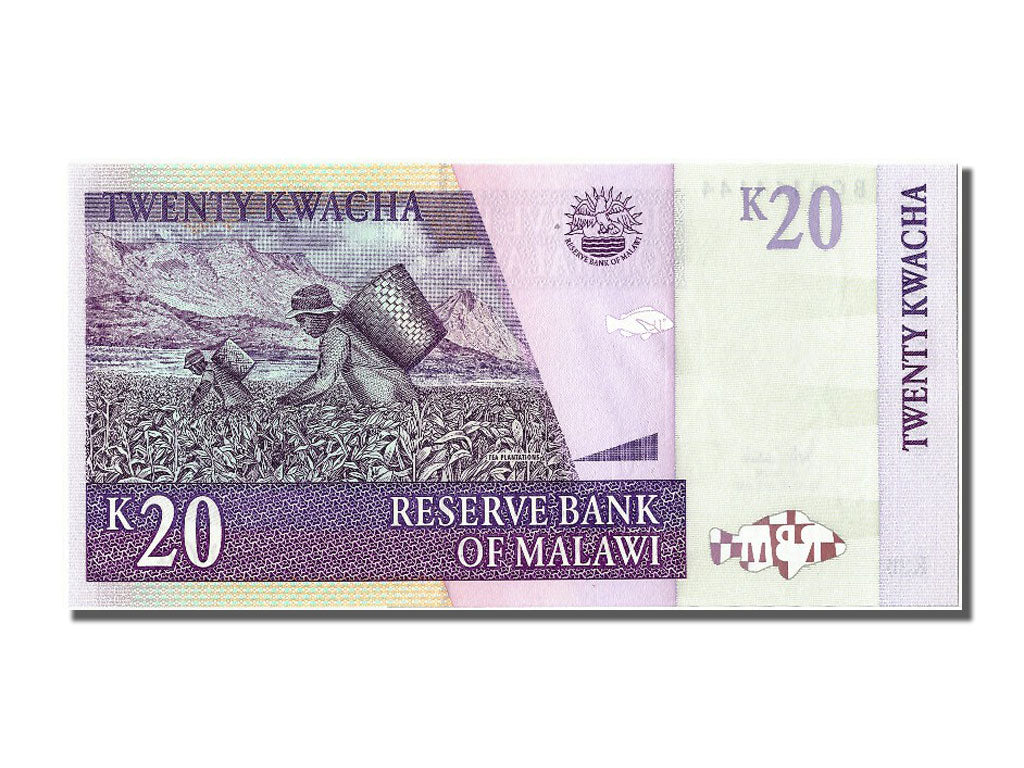 Banknote, Malawi, 20 Kwacha, 2007, 2007-10-31, UNC(65-70)