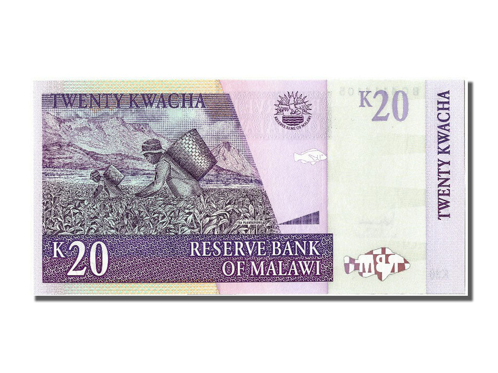 Banknote, Malawi, 20 Kwacha, 2007, 2007-10-31, UNC(65-70)