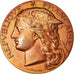 França, Medal, Agriculture, Concours Régional, Versailles, 1891, Ponscarme