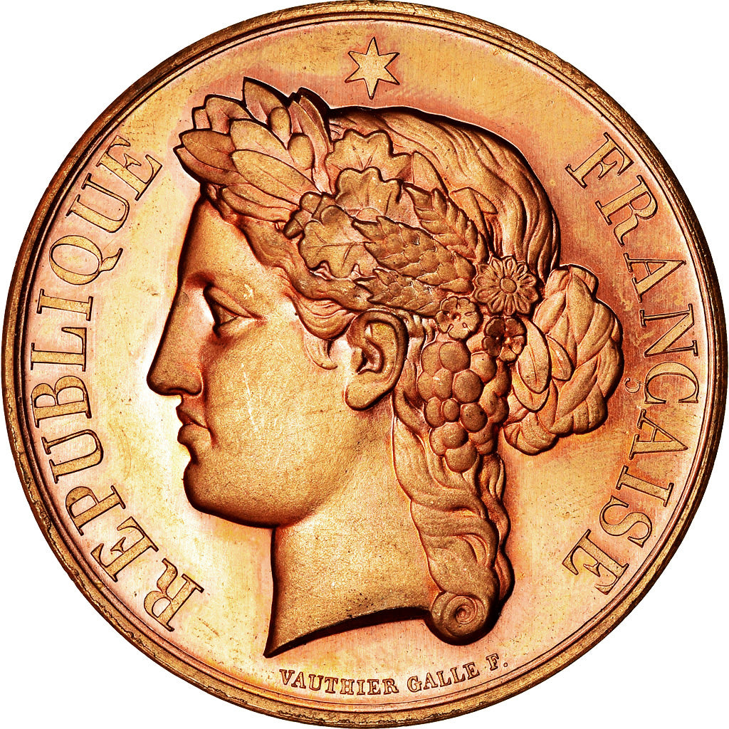 France, Medal, Concours d'Agriculture, Marianne, Vauthier Galle, MS(63), Bronze