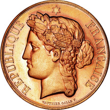 France, Medal, Concours d'Agriculture, Marianne, Vauthier Galle, MS(63), Bronze