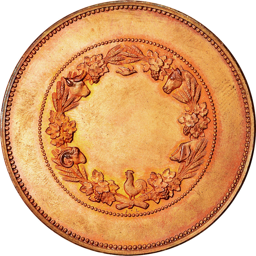France, Medal, Concours d'Agriculture, Marianne, Vauthier Galle, MS(63), Bronze