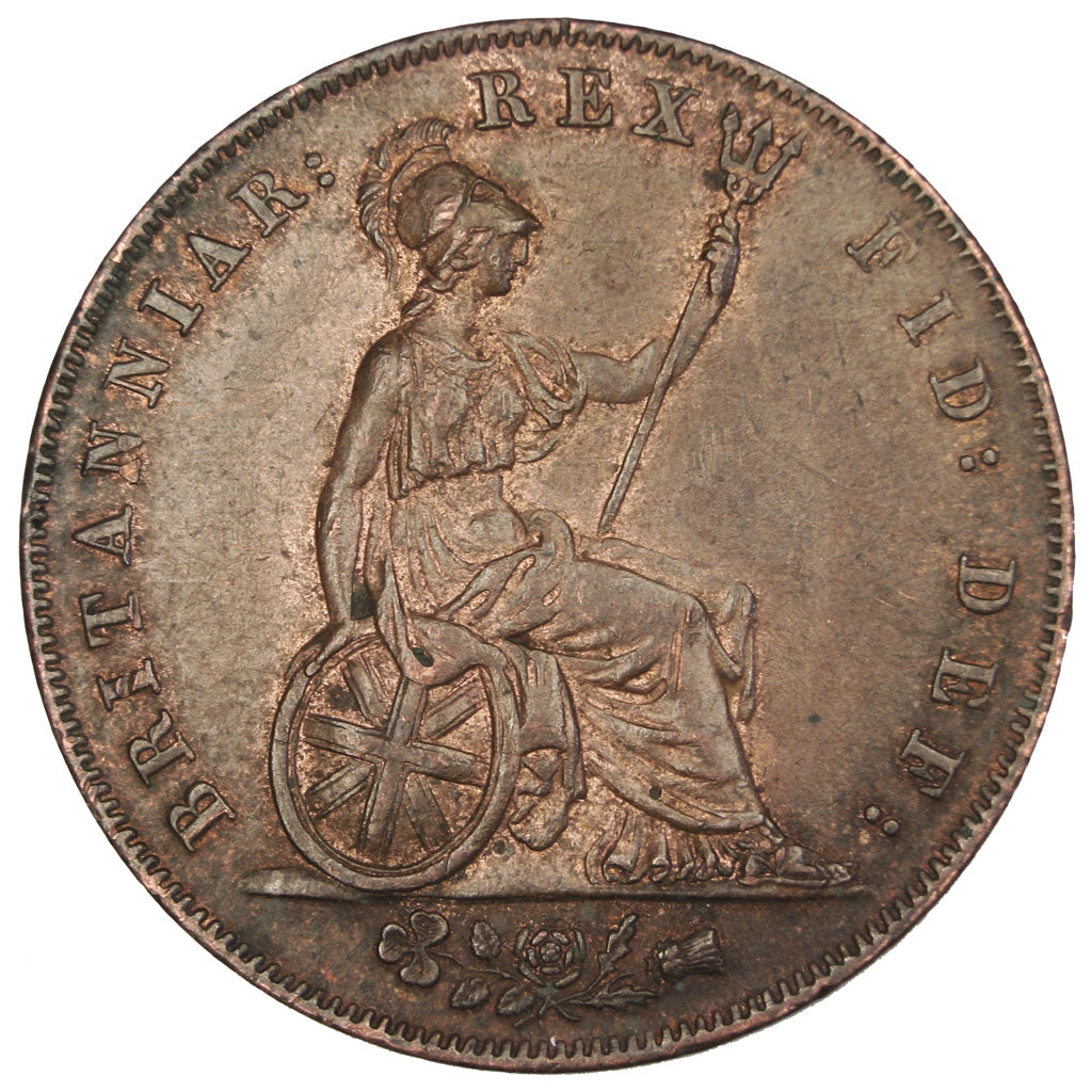 Gran Bretagna, George IV, 1/2 Penny, 1826, BB+, Rame