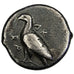Sicily, Agrigente ( 450 BC ), Didrachm, VF(30-35), Silver, 8.18