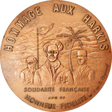 France, Medal, Hommage aux Harkis, Solidarité Française, 1986, Reynaud