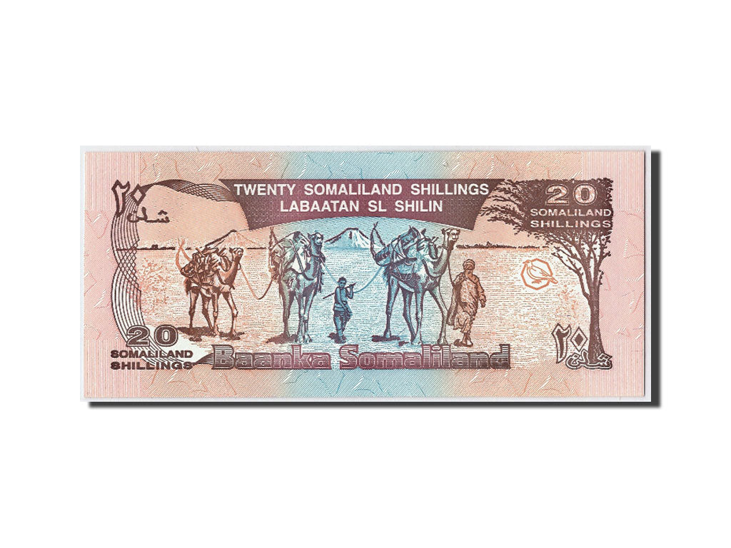 Banknote, Somaliland, 20 Shillings = 20 Shilin, 1994, UNC(65-70)