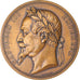 France, Medal, Napoléon III, Expédition de Chine et de Cochinchine, History
