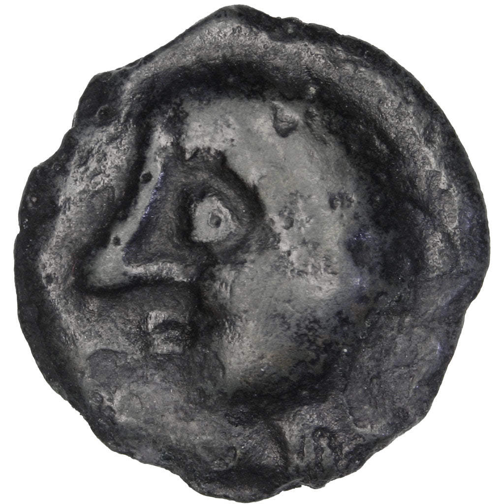 Leuques, Potin au sanglier