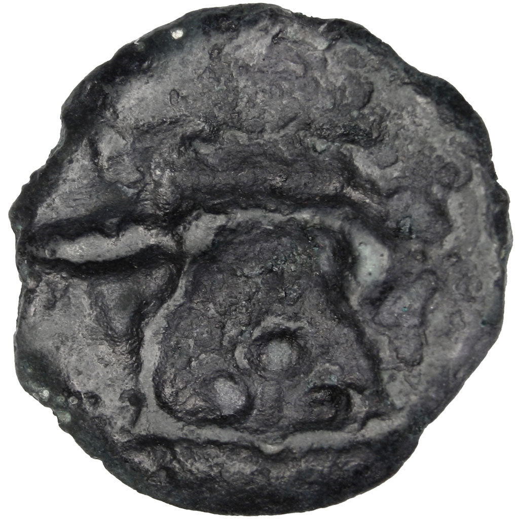 Leuques, Potin au sanglier
