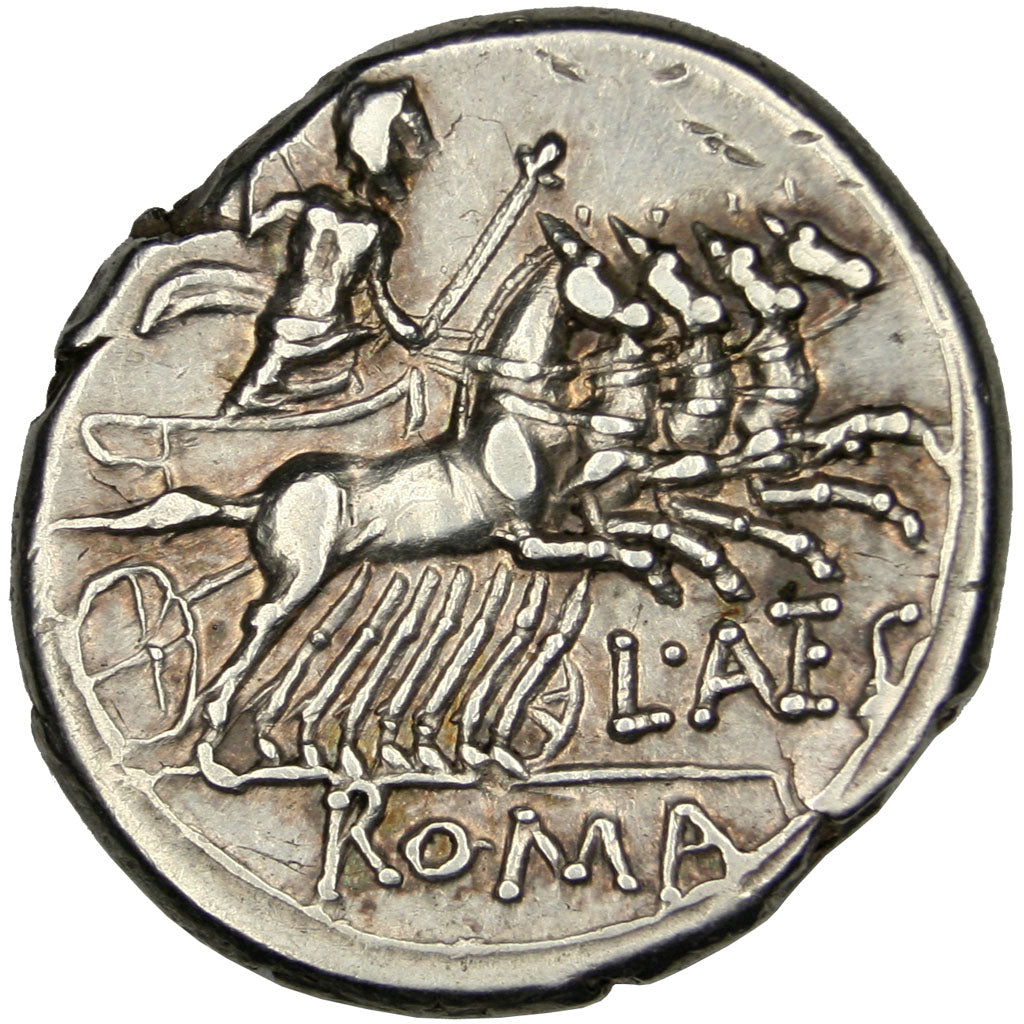 Antestia, Denier, NGC Choice XF 5/4