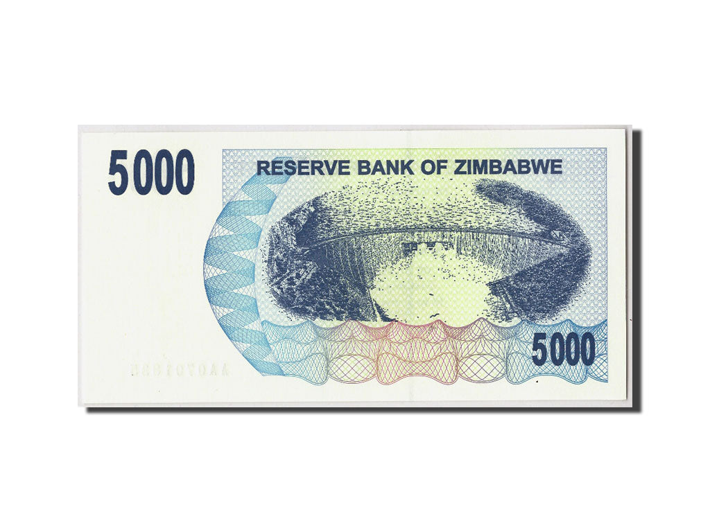 Billet, Zimbabwe, 5000 Dollars, 2007, 2007-02-01, KM:45, NEUF