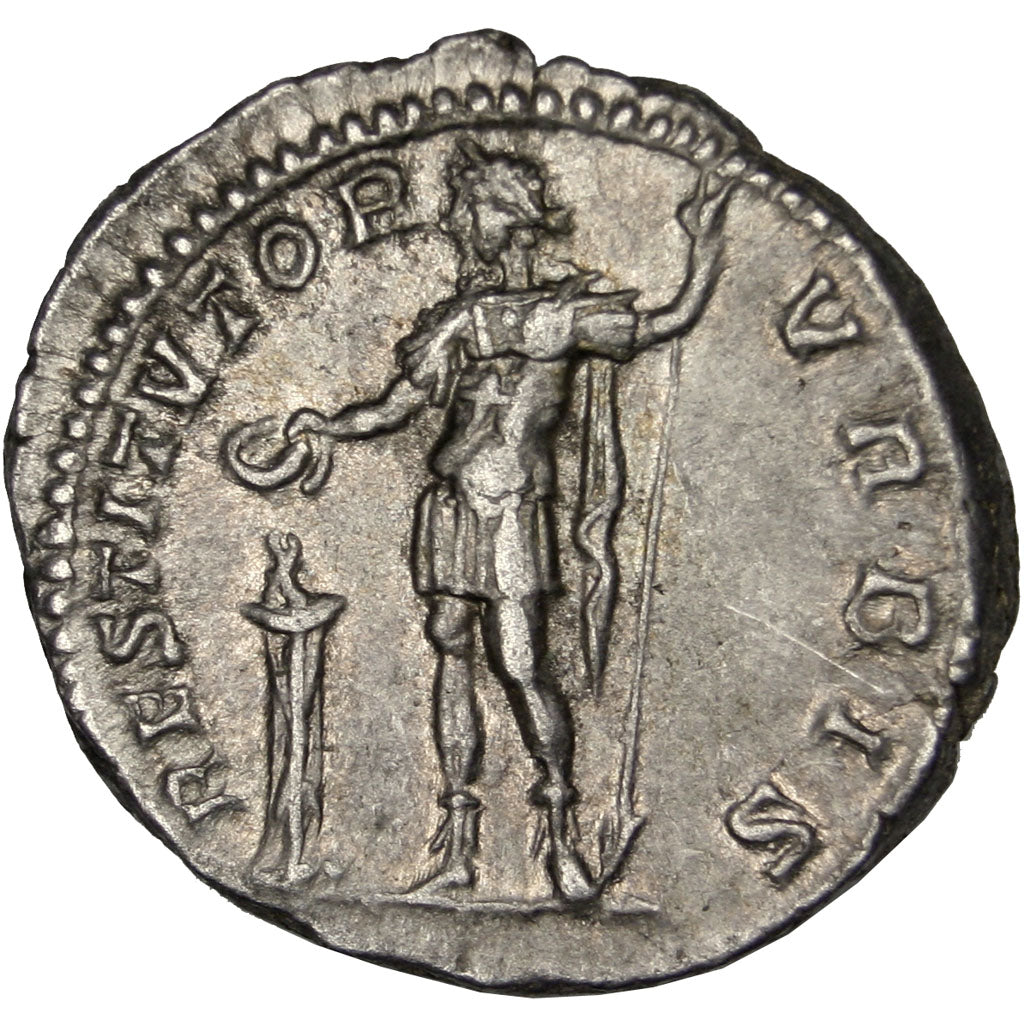 Septimius Severus, Denarius, Roma, SPL, Argento