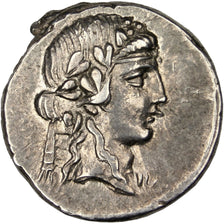 Titia, Denarius, Roma, AU(55-58), Silver, 4.01