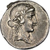 Titia, Denarius, Roma, AU(55-58), Silver, 4.01