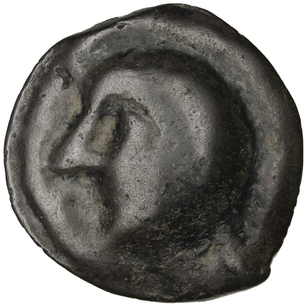 Leuci, Potin, MB, Potin