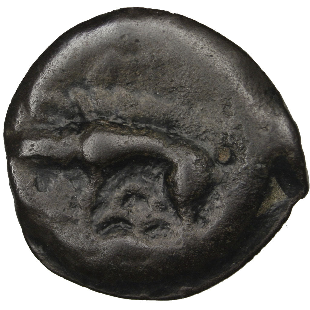 Leuci, Potin, MB, Potin