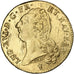 Louis XVI, Double Louis d'or à la tête nue