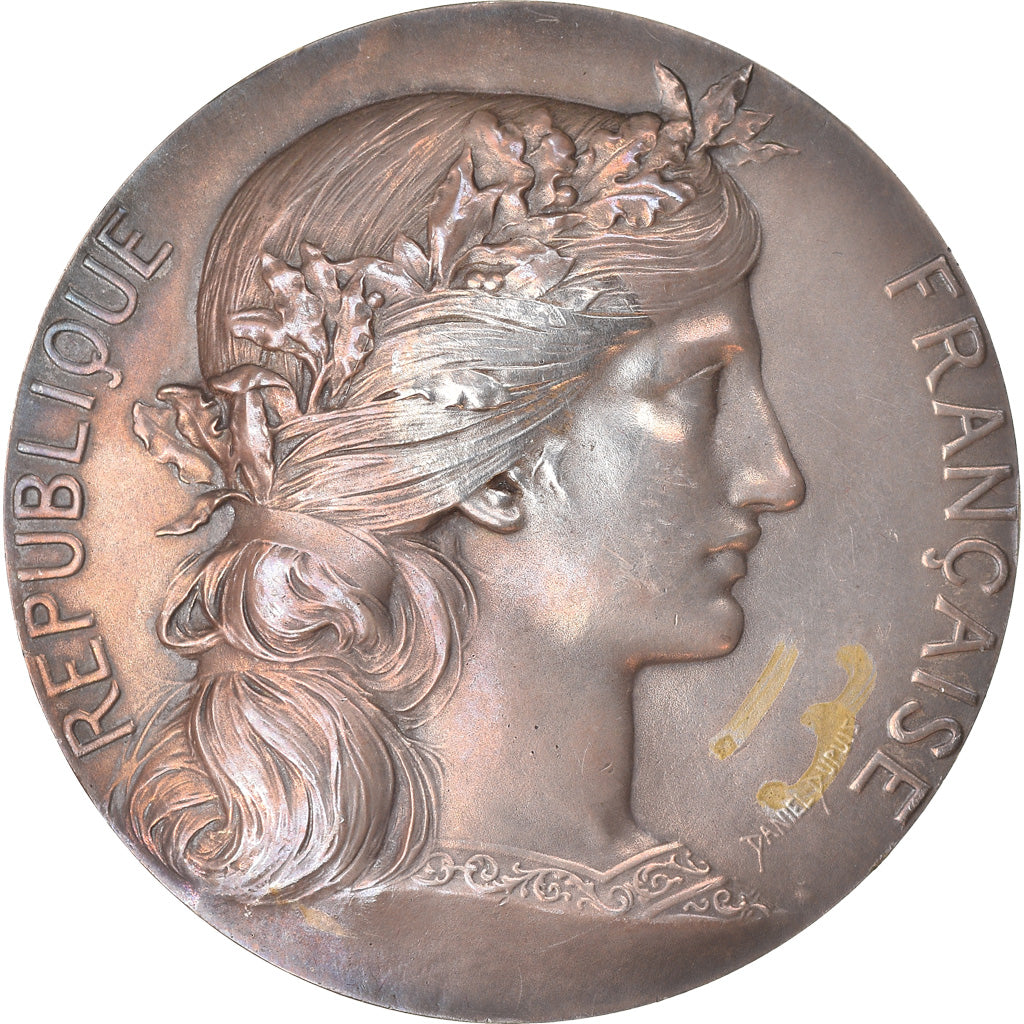 France, Medal, Régates du Pouliguen, Ministère de la Marine, Shipping, 1905