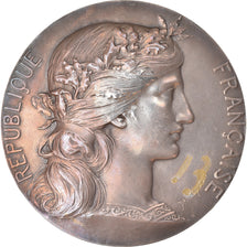 France, Medal, Régates du Pouliguen, Ministère de la Marine, Shipping, 1905