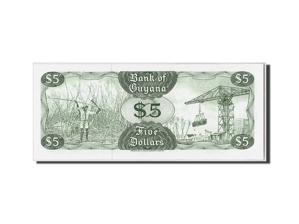 Banconote, Guyana, 5 Dollars, Undated (1992), KM:22f, FDS