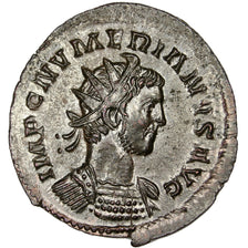 Numerian, Antoninianus, Lyons, SPL, Biglione